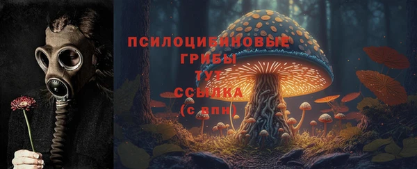 прущие крисы Балахна