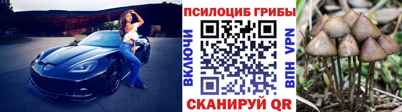 MEGA вход  Кунгур  Галлюциногенные грибы Psilocybe  закладки 